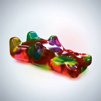 OCELLOT | Jelly Beat (LP/CD)