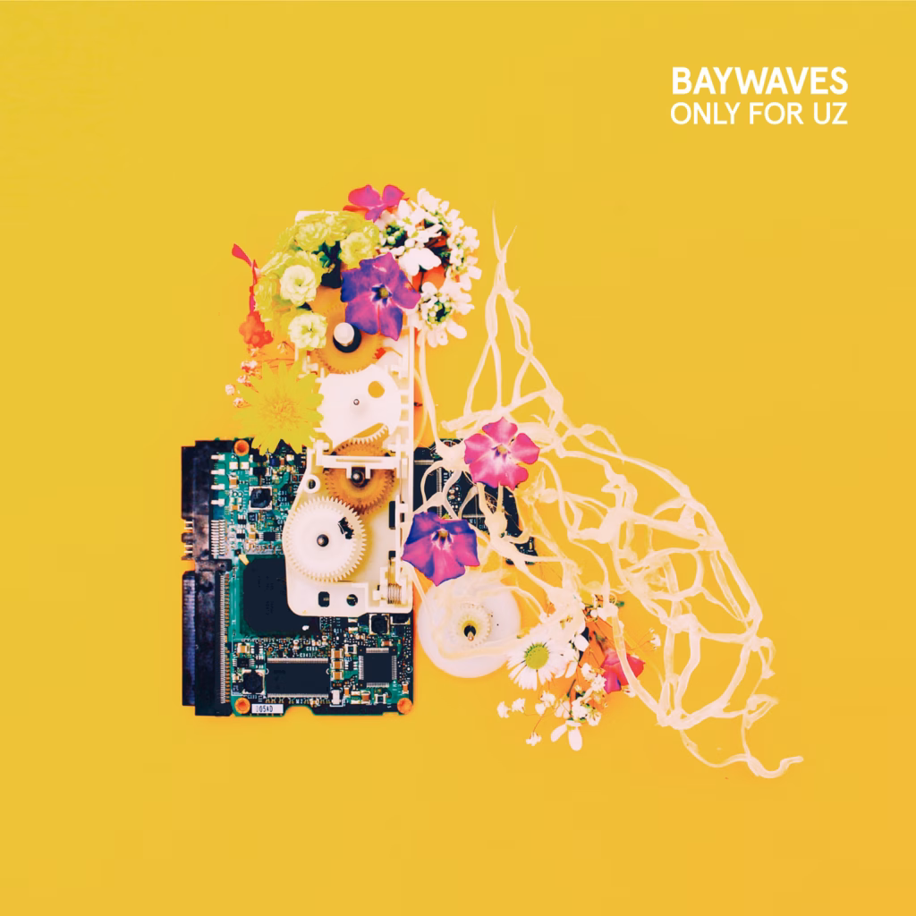 BAYWAVES | Only For Uz