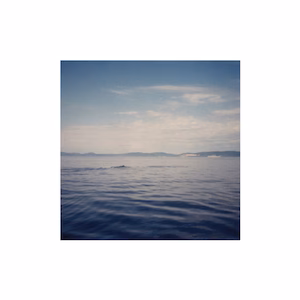 SUMMER RECREATION CAMP | Dolphins in Love (CD)