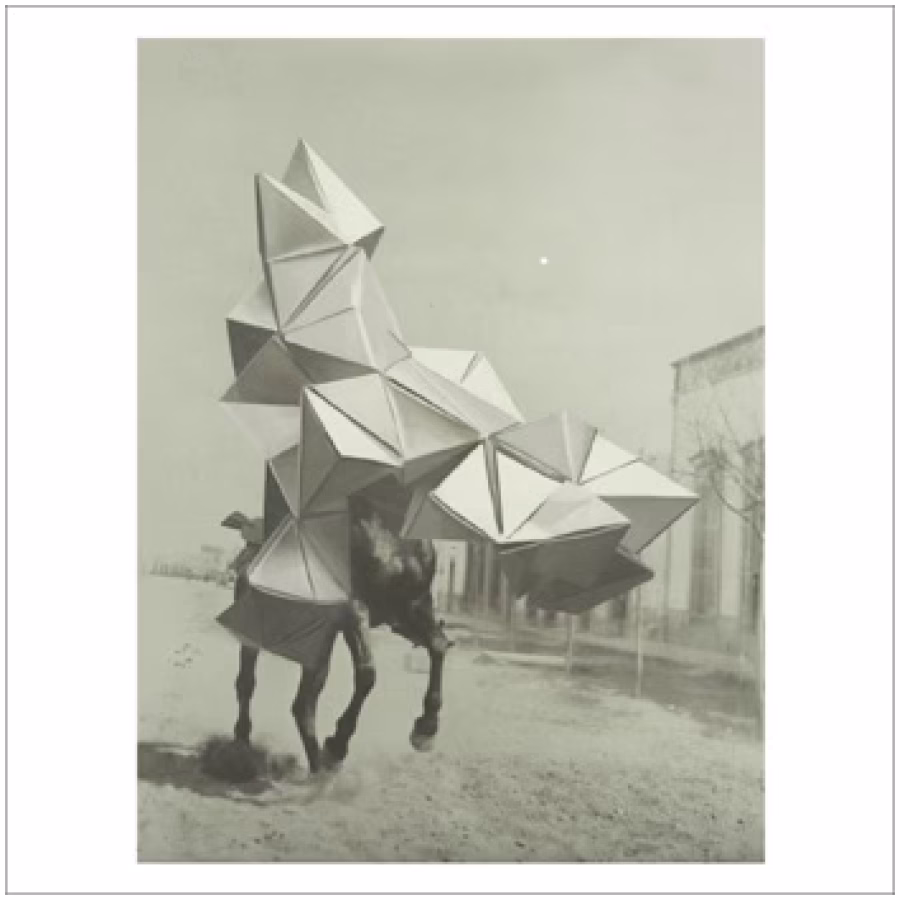 VÍCTOR HERRERO | Estampida (LP/CD)