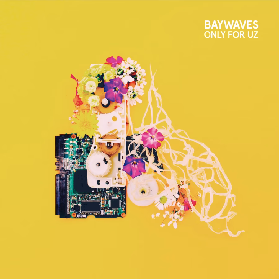 BAYWAVES | Only For Uz