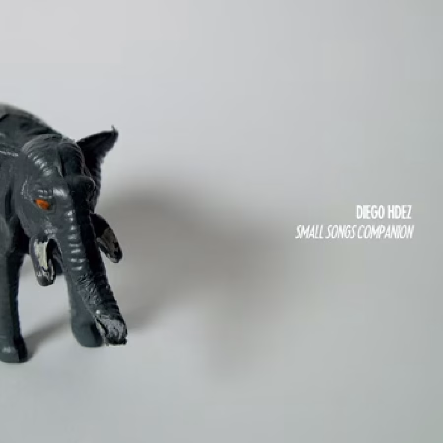 Diego Hdez | Small Songs Companion