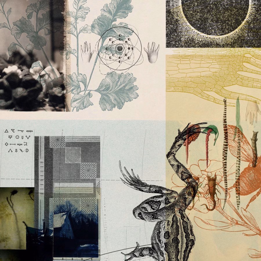 BALAGO | Els Altres (2LP)